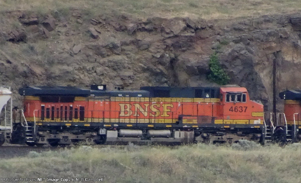 BNSF 4637